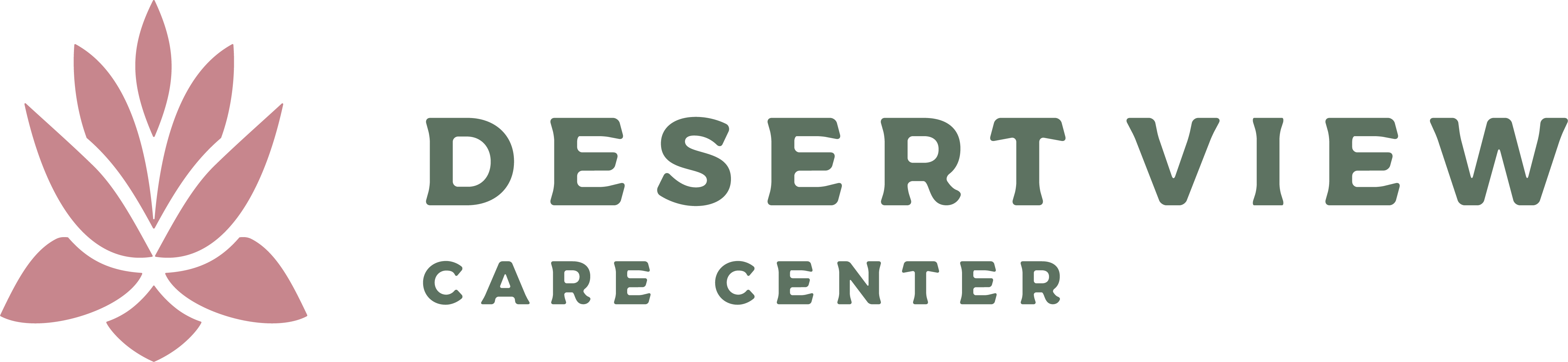 Desert View Care Center